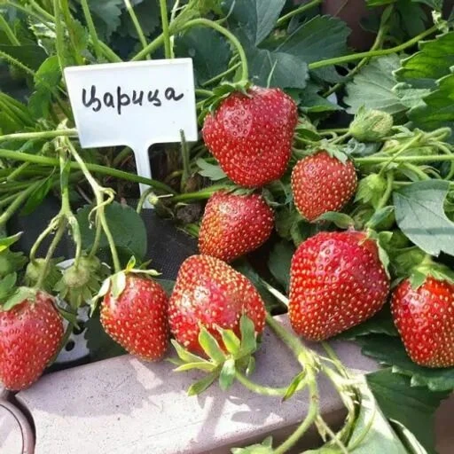 Успевайте заказать ! Не пропустите информацию 🎉🎉🎉🎉🎉