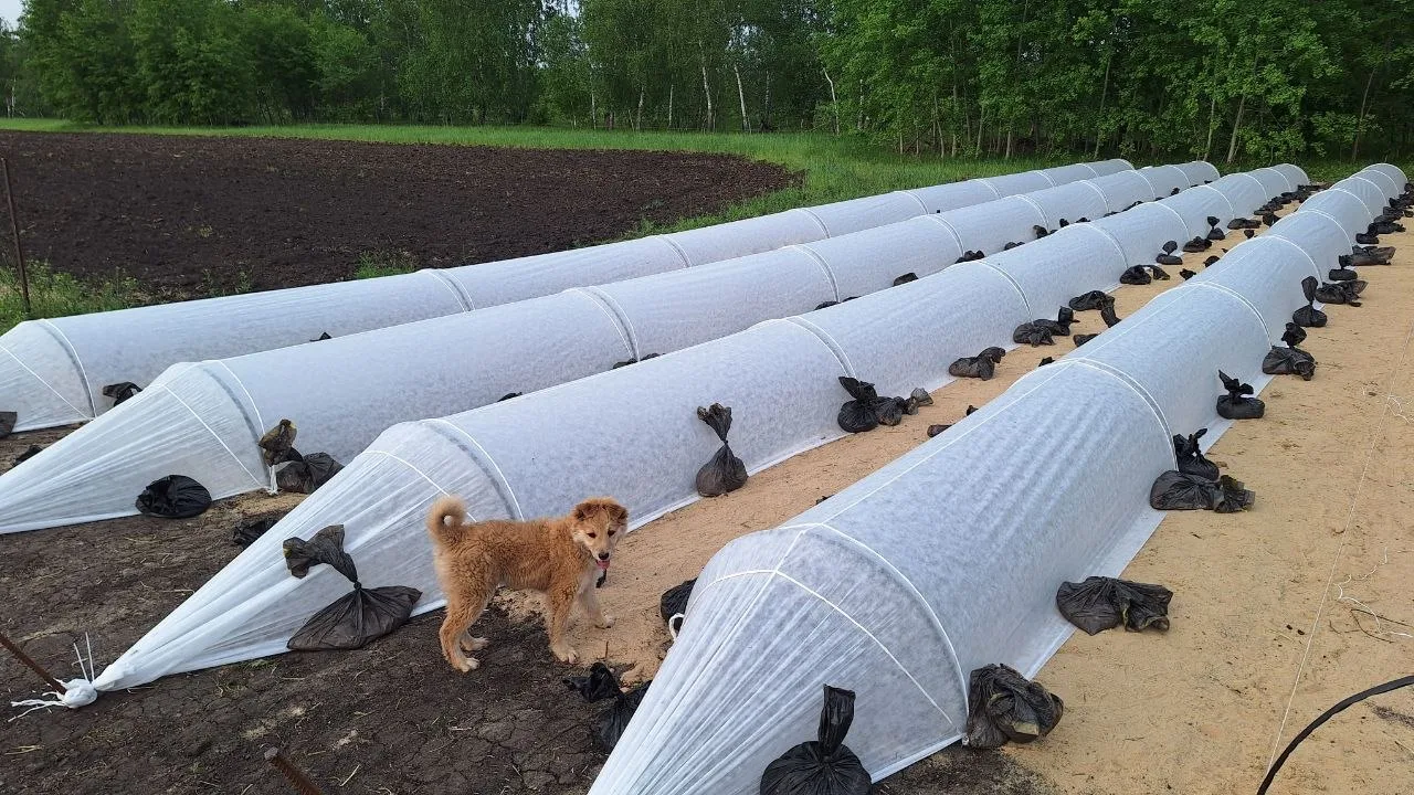 Наша прошлая неделя была продуктивная 💪