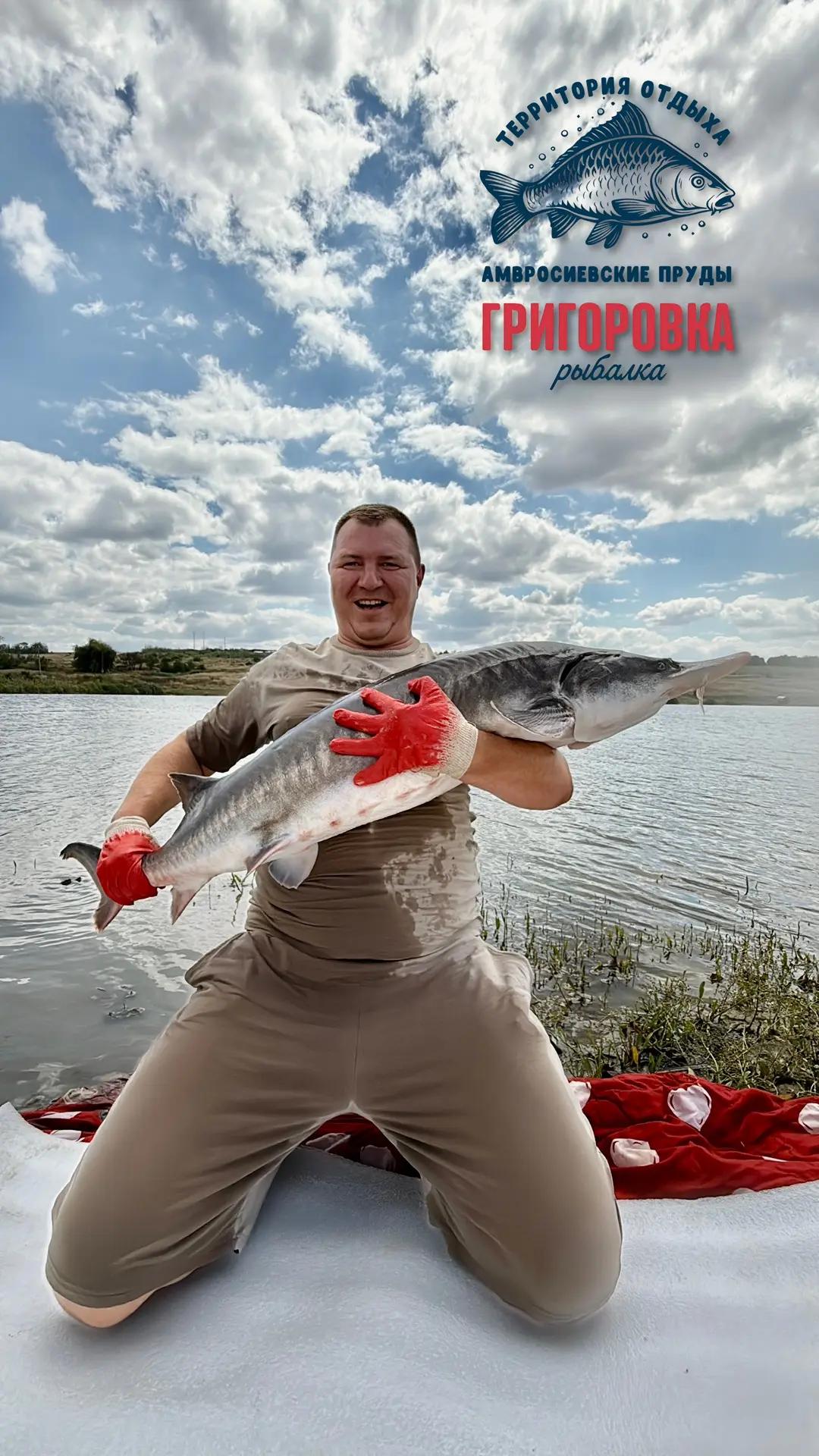 🚀БЕЛУГА 20 кг дарим 20.000 руб 💰