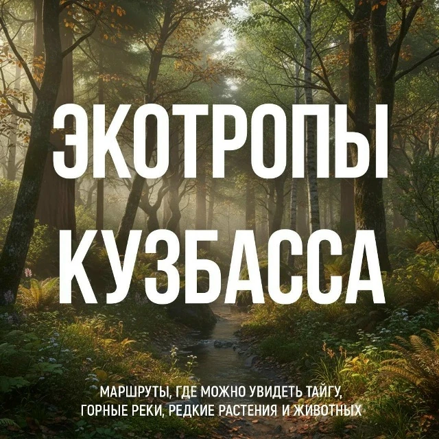 🌳 Лучший способ познакомиться с природой Кузбасса — отправиться по экотропе.

Здесь каждый маршрут 