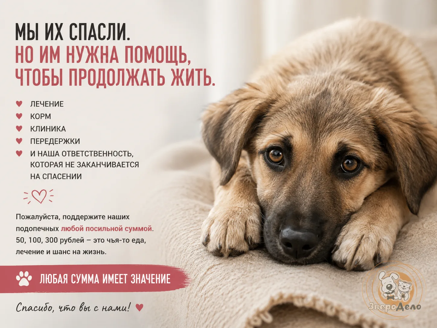Мы спасаем тех, на кого никто не откликнулся(
