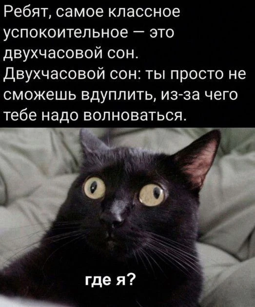Это я сегодня😅 

Уж очень интересная попалась книжка, которая не отпускала в ночи ни в какую…