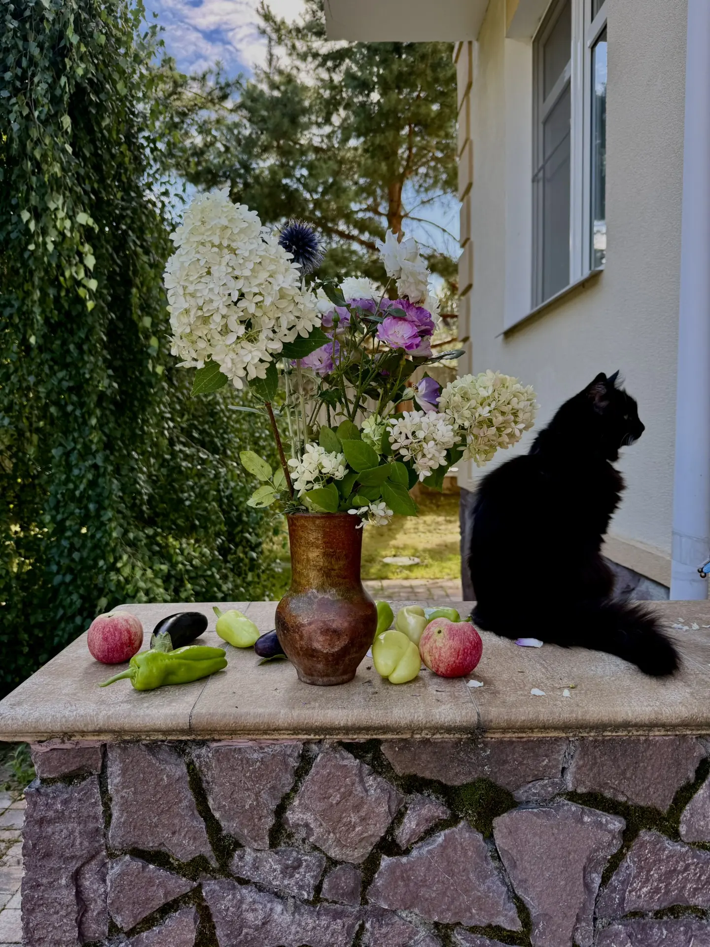 Даже котик не хочет осенних фото