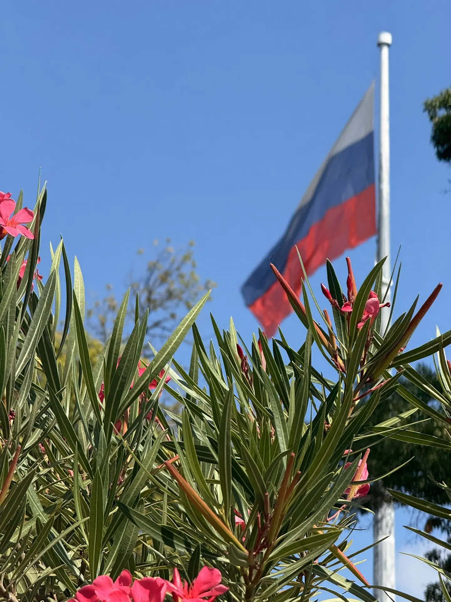 Море и немного улиц в эту жаркую среду🏡