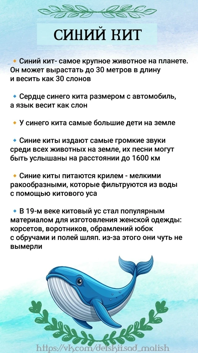 🐳 Сегодня — Всемирный день китов и дельфинов!

Знаете ли вы, что эти удивительные создания — настоя