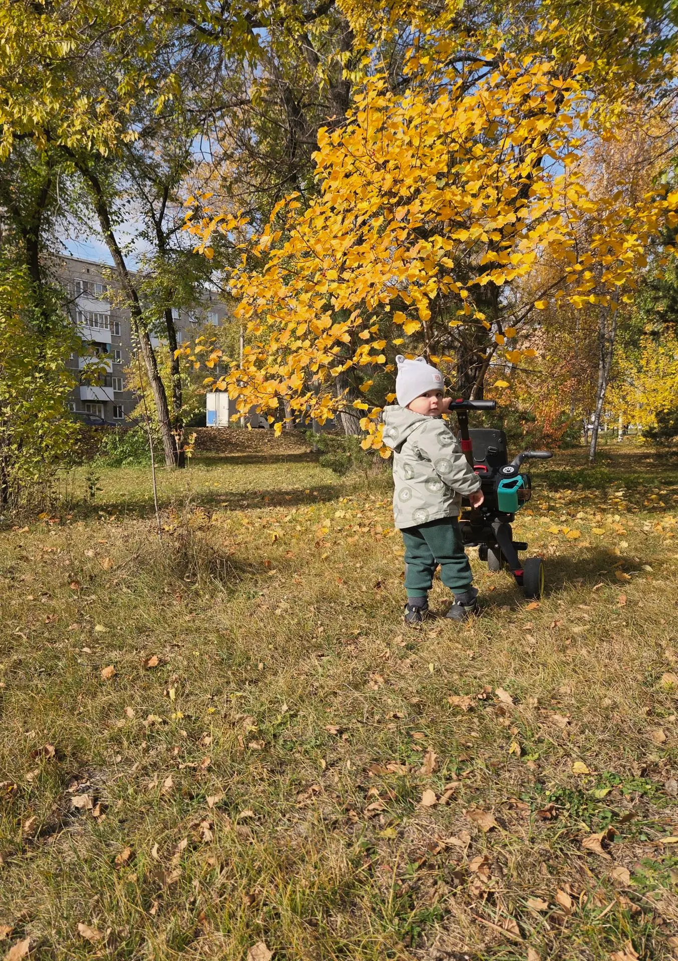 Очень мне нравится осень 🍂