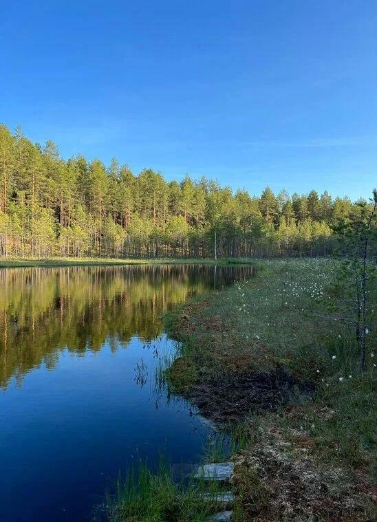 Едем в Лесные дали

Экотропа в 12 километров по мховым, кустарнико-сфагновым и воздушным лишайниковы