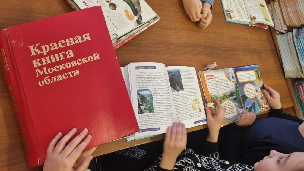 📚 Любят ли читать школьники? Репортаж из школьной библиотеки.      В последнее время принято сетоват