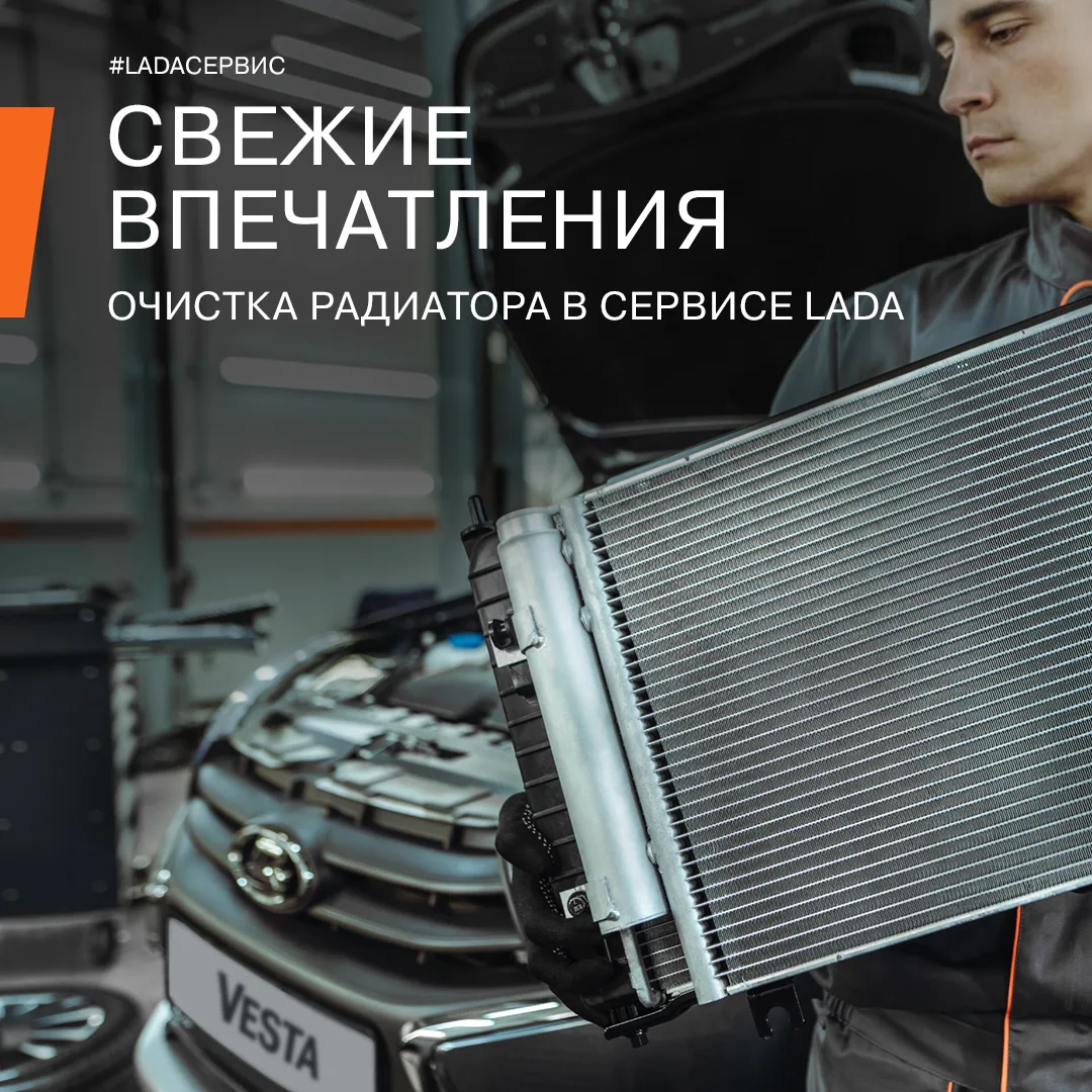 Летом особенно важно следить за чистотой радиатора. Пух, пыль, грязь, насекомые и дорож...