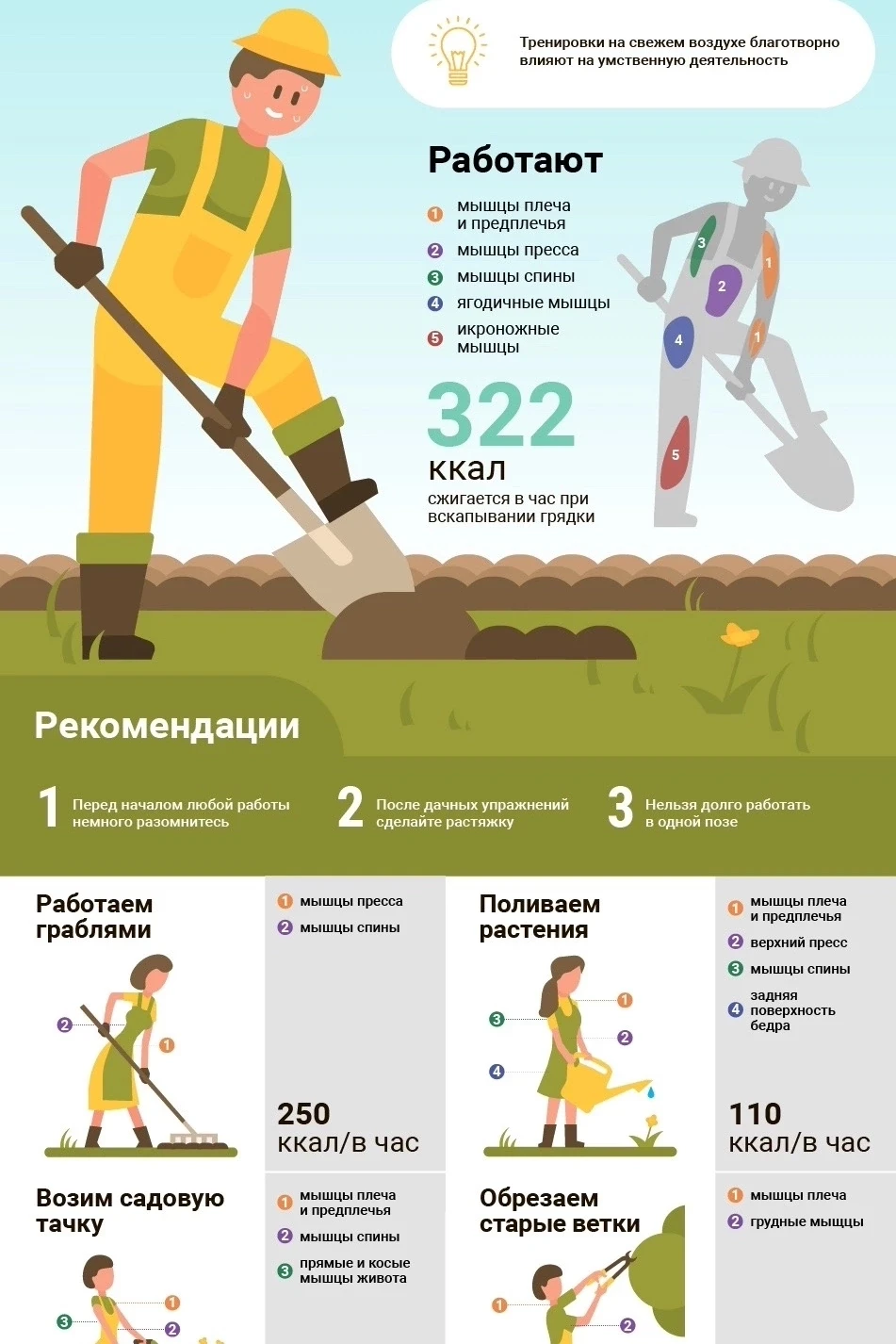 🏡🪏 Фитнес на даче: какие мышцы можно накачать на огороде.

👩🏻‍🌾 За лето многие успевают не толь