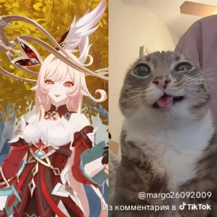 @xinupdates