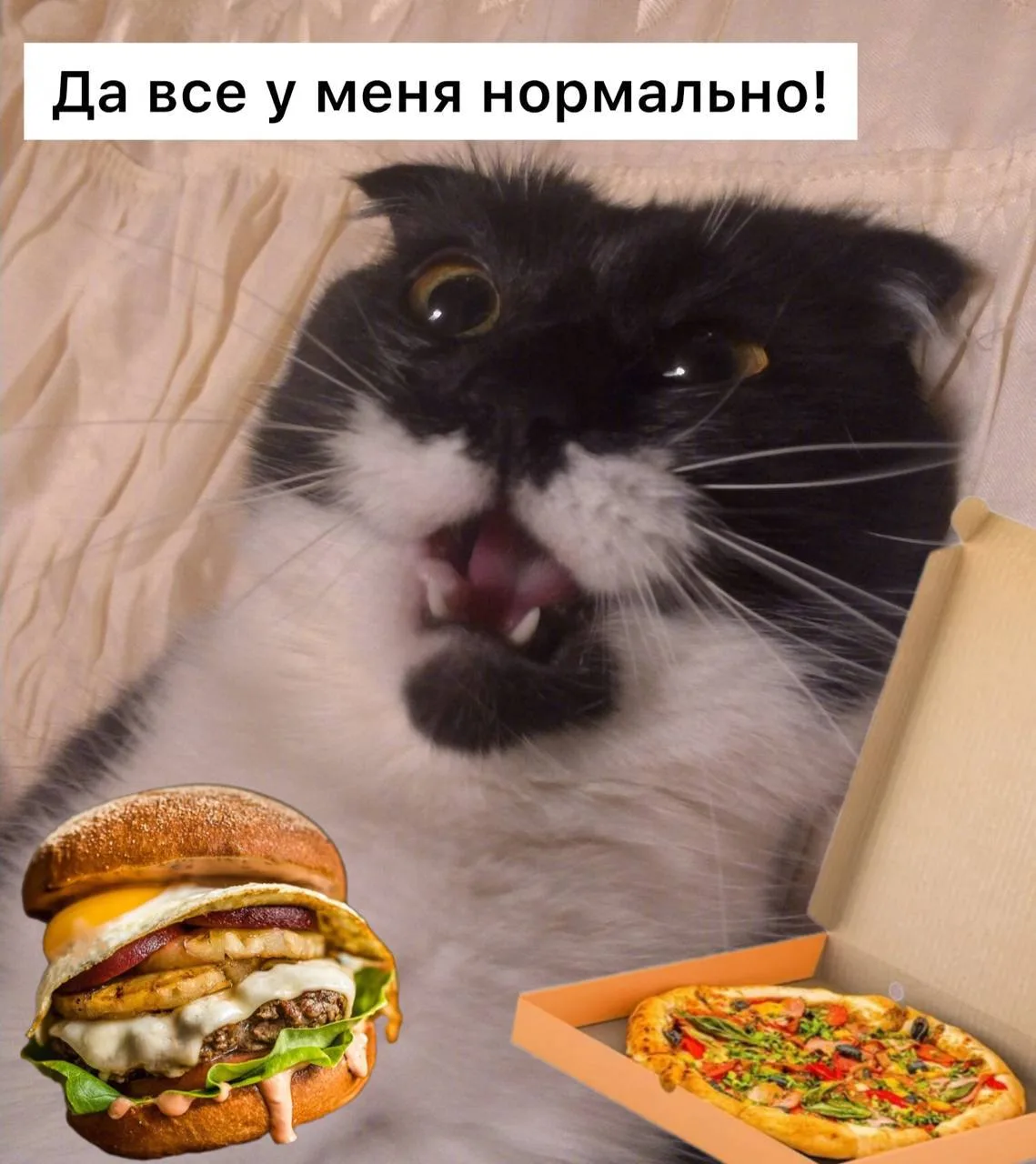 Регулярное употребление бургеров, пиццы, газировки и другой ультрапереработанной еды может плохо вли