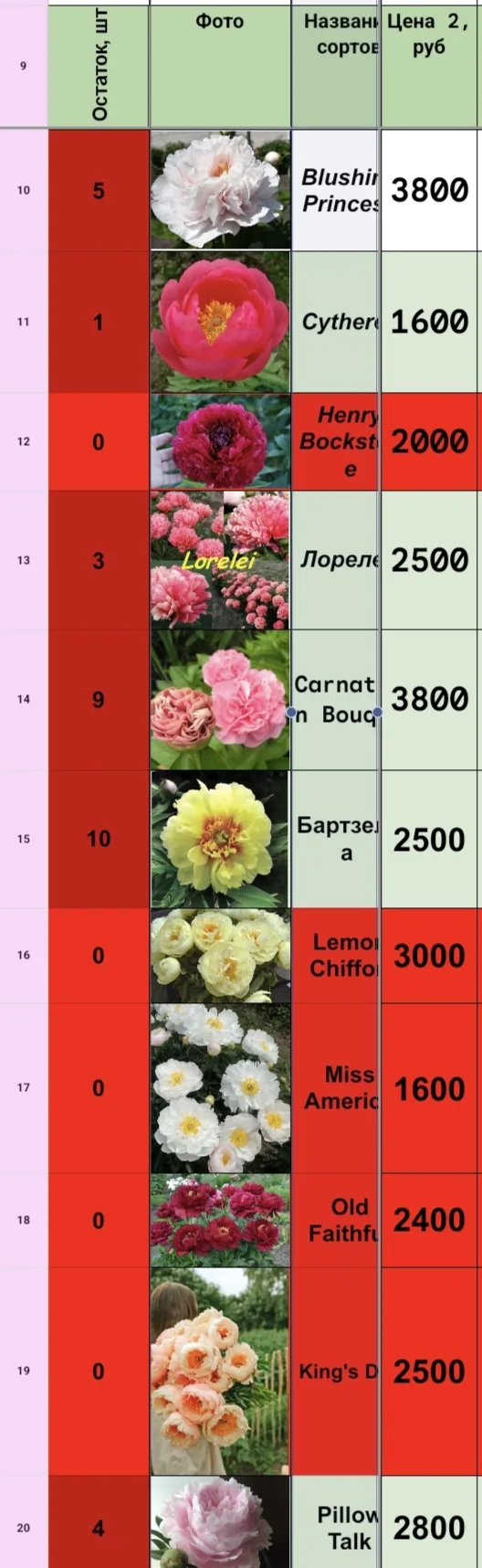 ⚡Сорта пионов ДОСТУПНЫ: