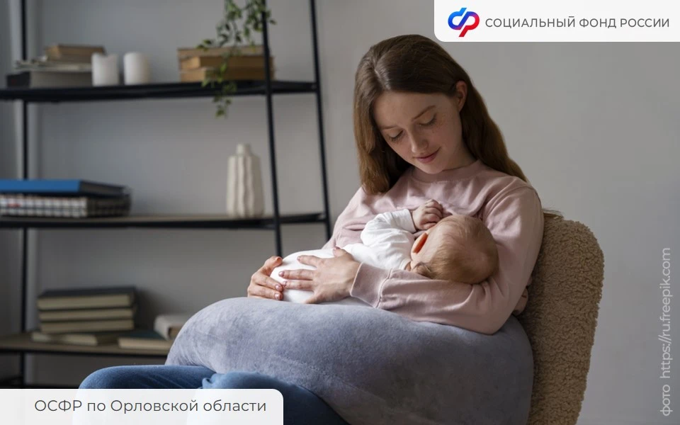 Пособие по уходу за ребенком до 1,5 лет получают 38 индивидуальных предпринимателей региона

Отделен
