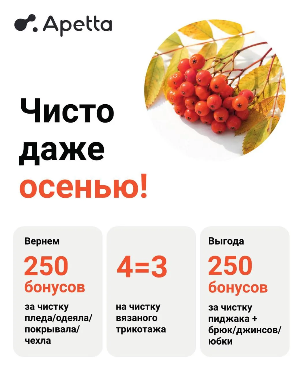 🍂Осень в Apetta — время обновить гардероб и навести уют дома.