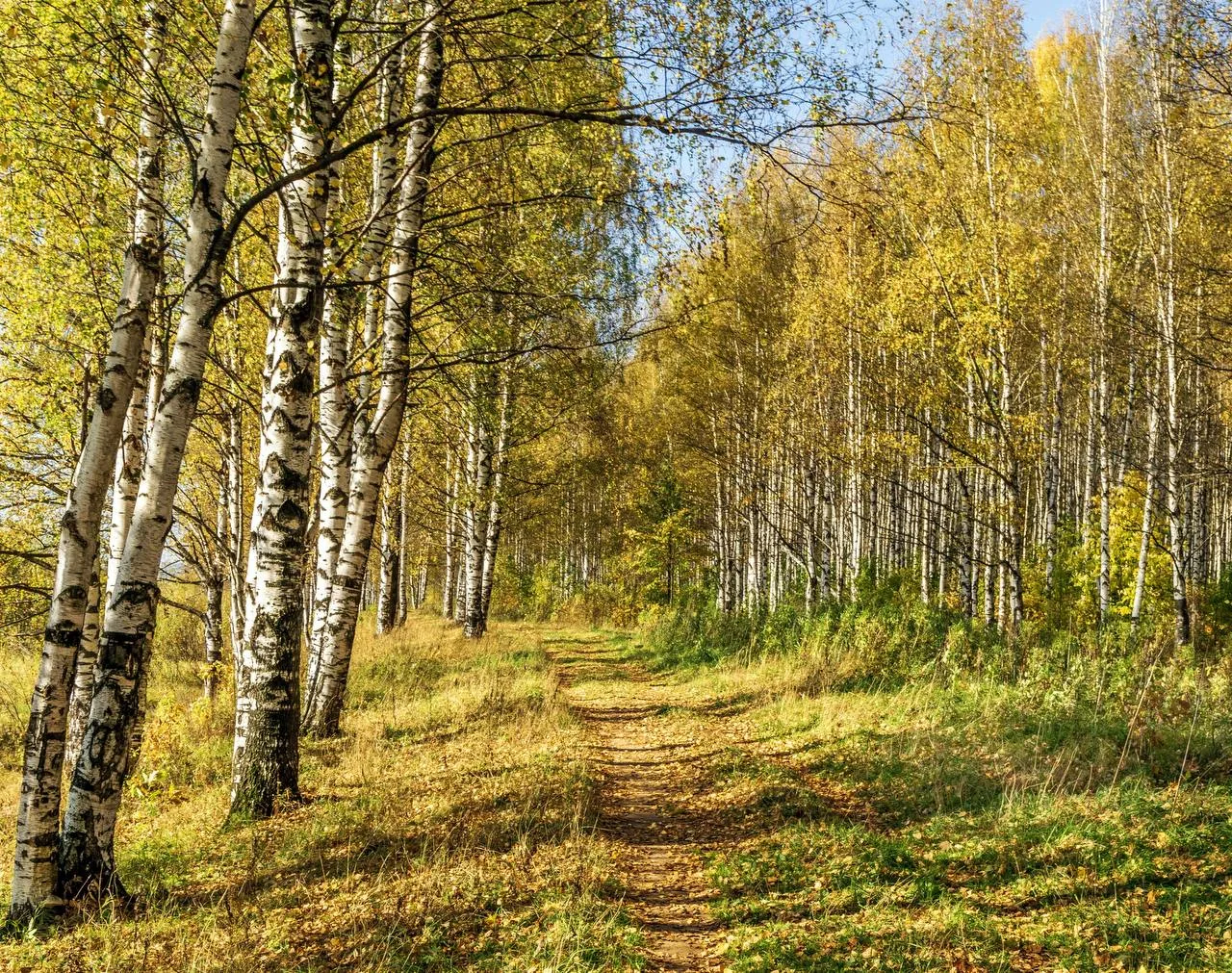 Доброе утро, Невель!