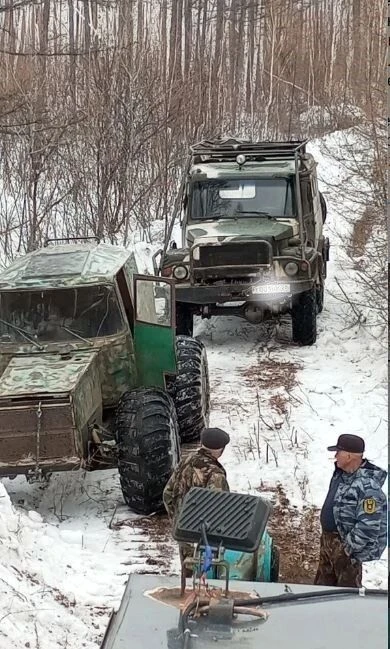 Уголовное дело возбуждено по факту серьезных нарушений режима Толбузинского заказника в...