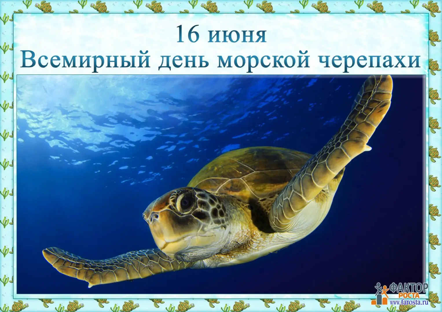 🐢Сегодня-Всемирный день морских черепах!