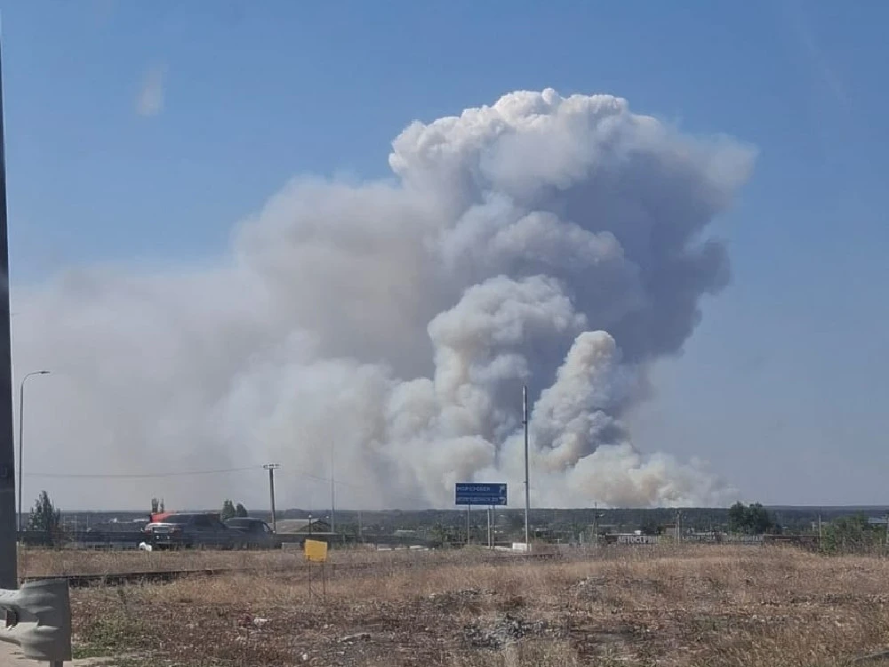 ‼На территории Романовского лесничества и пятикилометровой зоны от поселка Дубравный об...