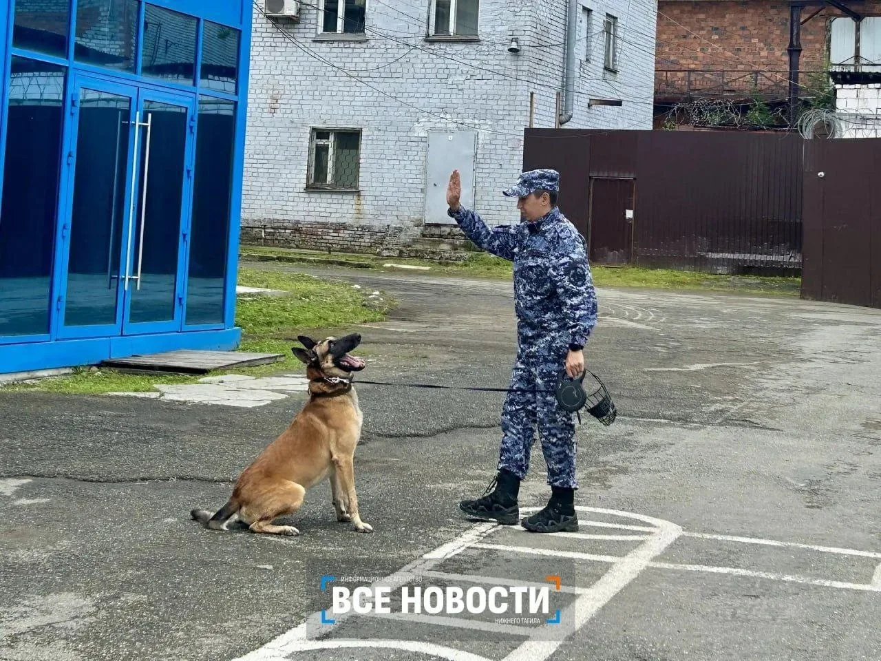 Изображение 2 к публикации «Нижний Тагил LIVE»