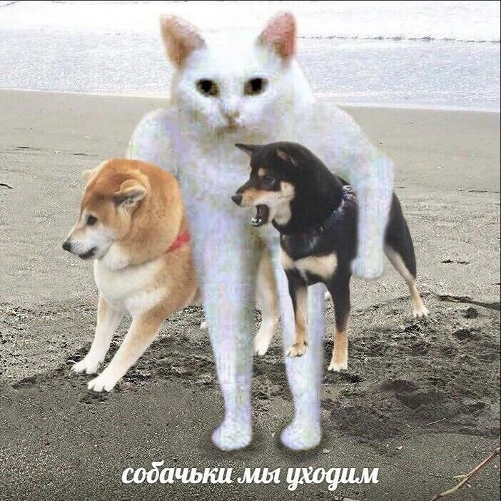 Официально мой любимый мем теперь)