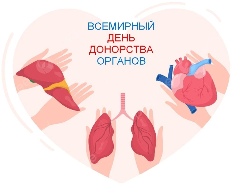 Ежегодно 13 августа медицинское сообщество и весь мир отмечают Всемирный день донорства...