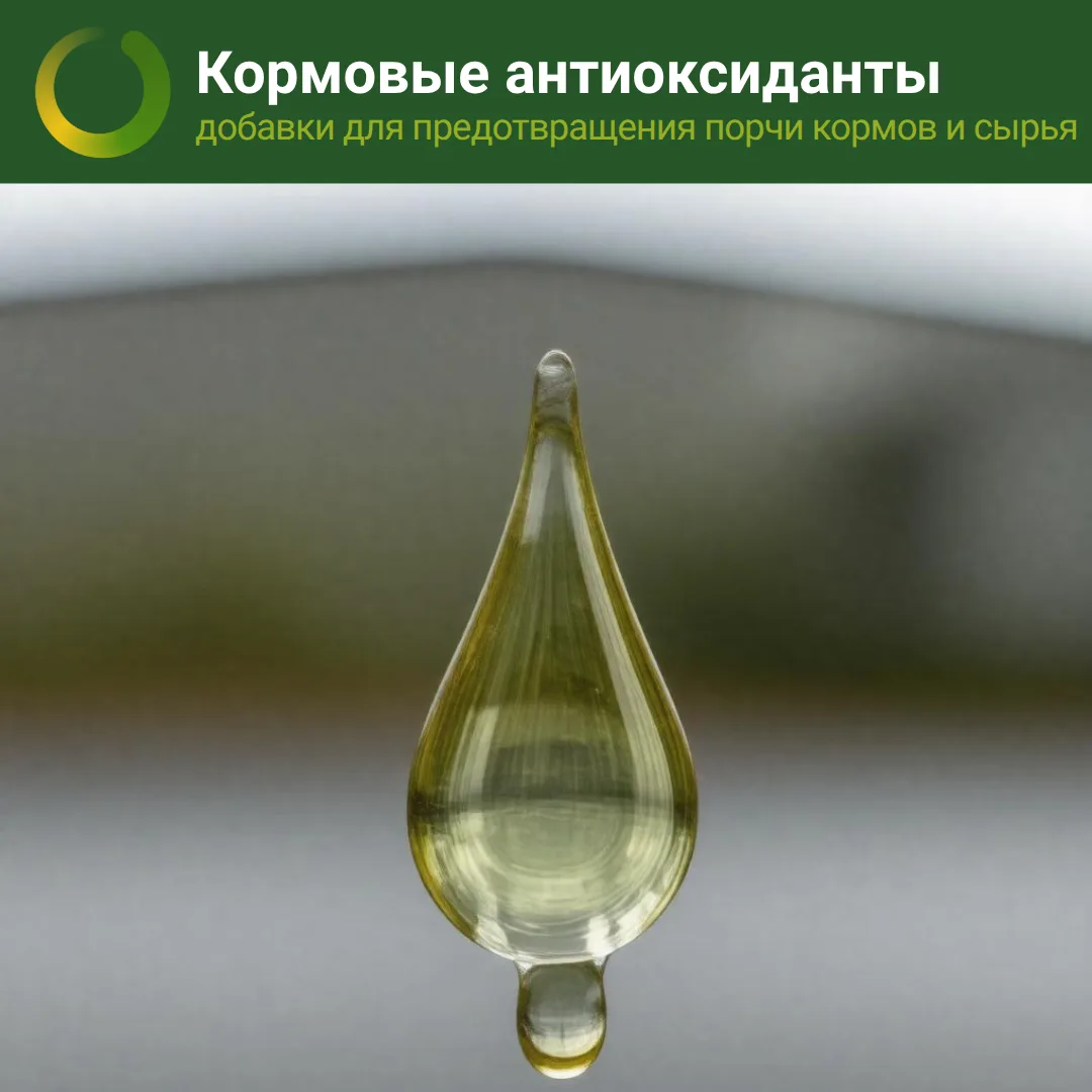 Жиры, содержащиеся в кормовом сырье, представляют собой важный источник доступной энерг...