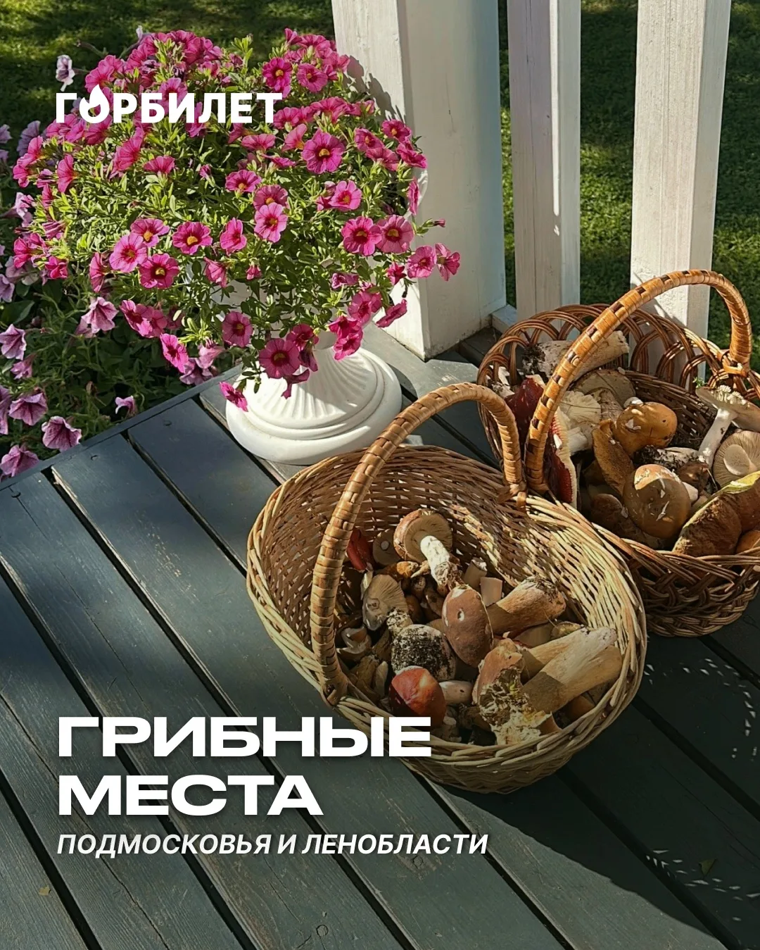 Куда поехать за грибным урожаем этим летом?

Сезон «тихой охоты» открыт! После тёплой весны и июльск