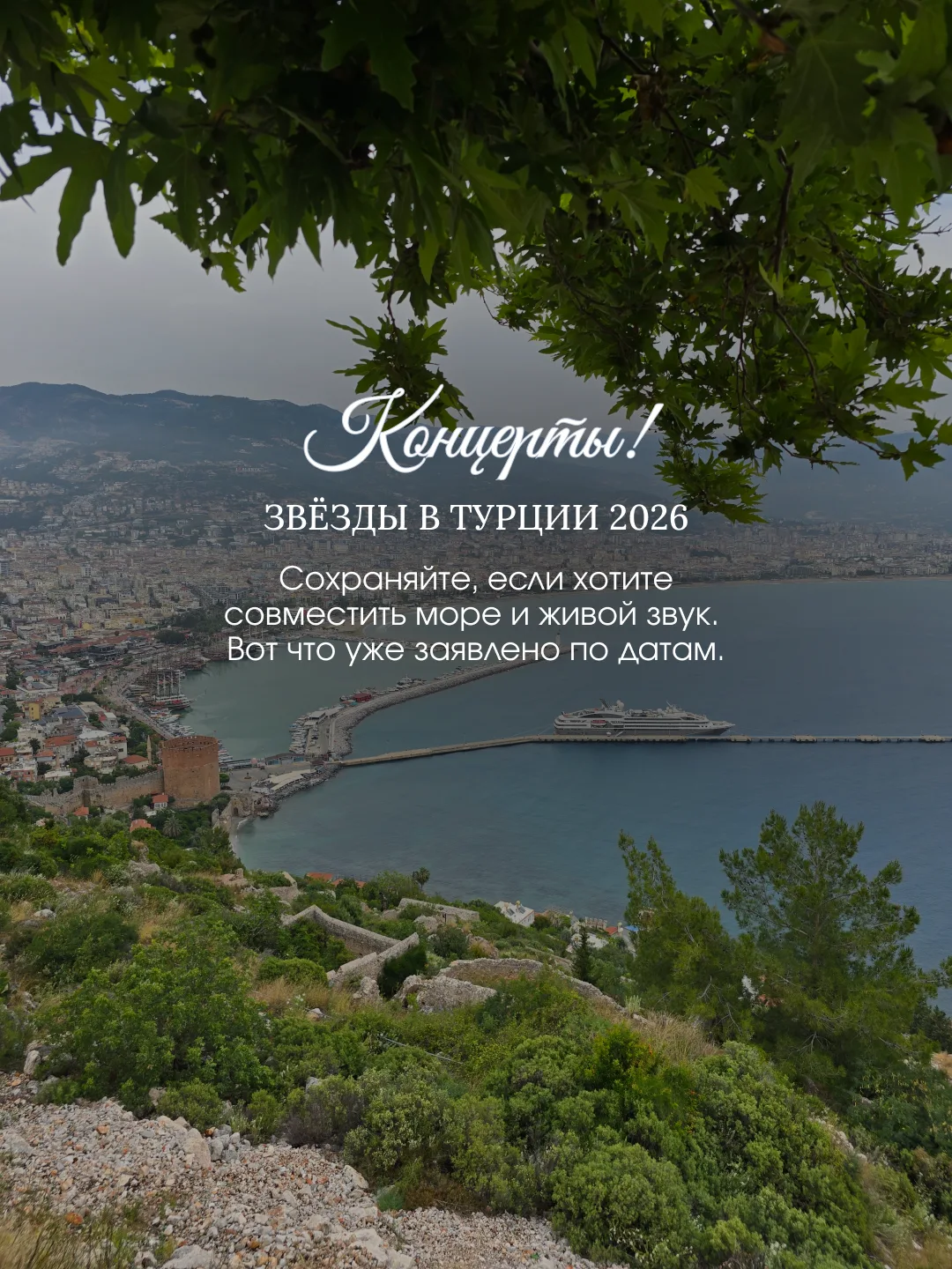 КОНЦЕРТЫ! ЗВЕЗДЫ В ТУРЦИИ 2026!