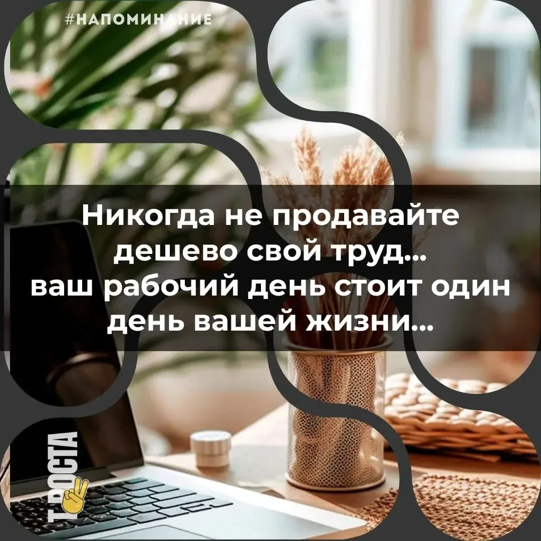 Точка роста