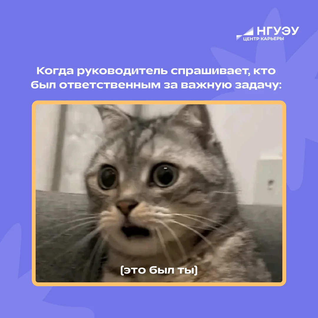 Когда понял, что «ответственный» — это не только строчка в резюме 😅