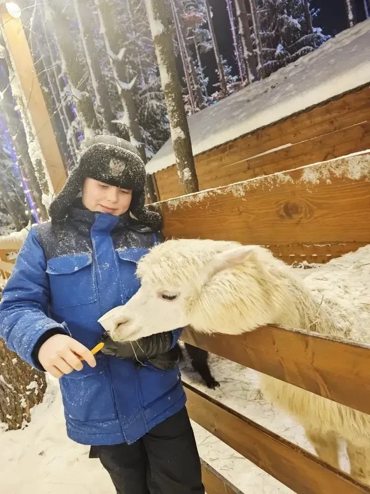 Горнолыжка и коньки, посещение музеев и монастыря, загородный отдых и уютные вечера, ватрушки и расч