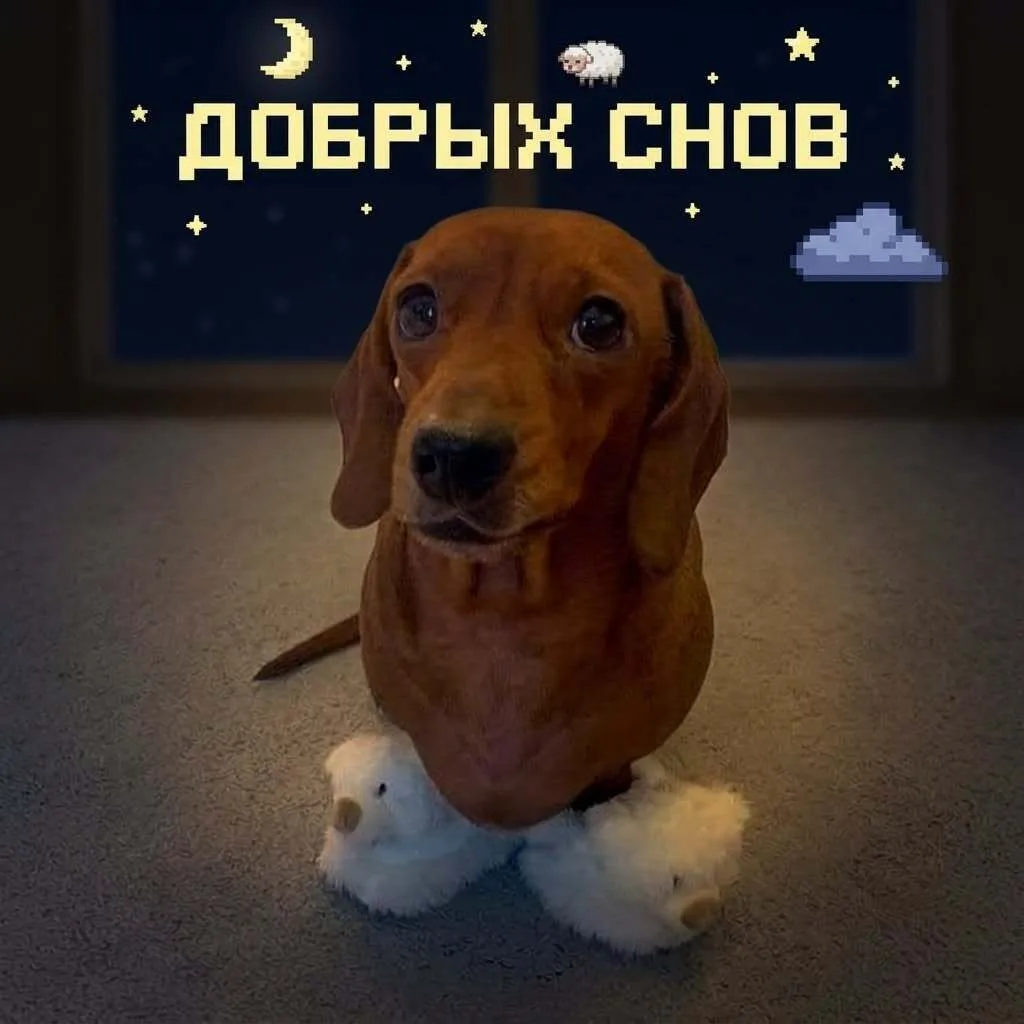 ✨СПОКОЙНОЙ НОЧИ