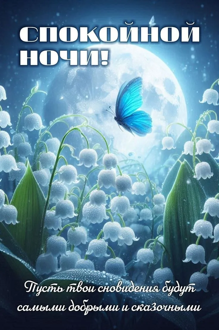 ОТКРЫТКИ