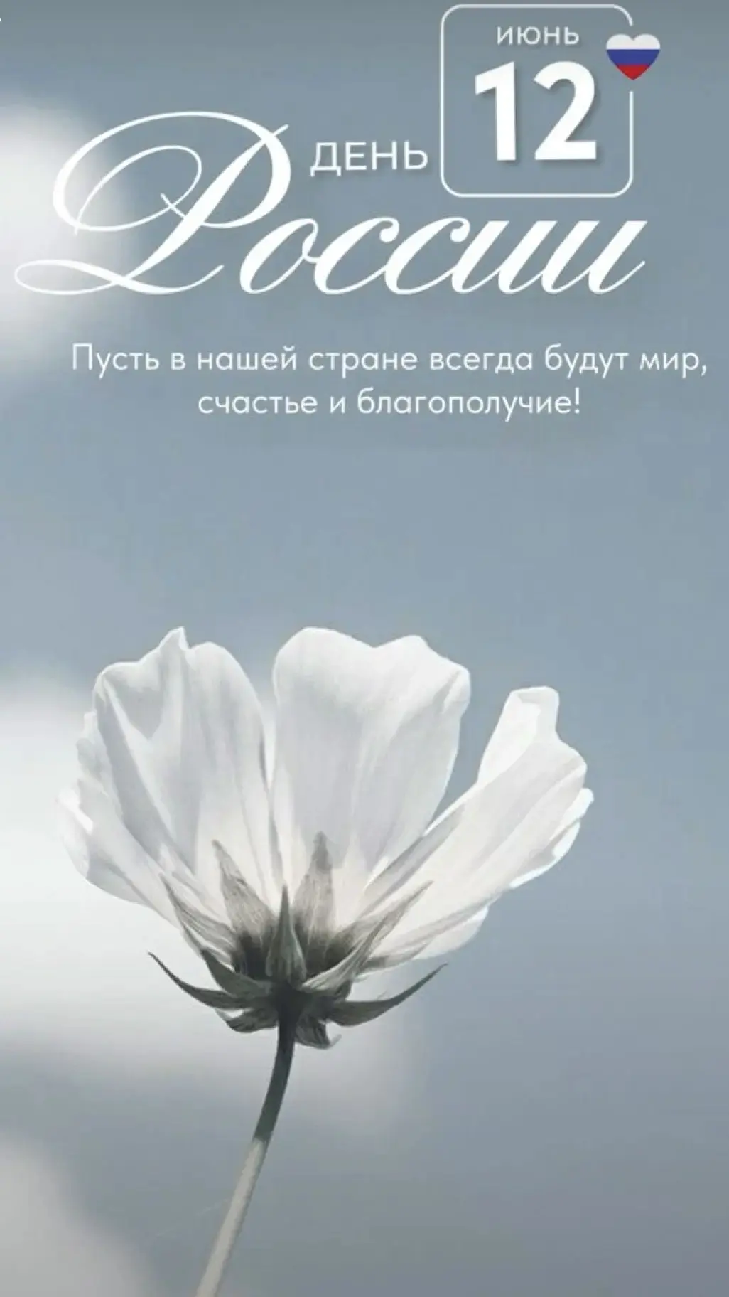Пусть невзгоды остаются позади 🙏 Счастья всем!