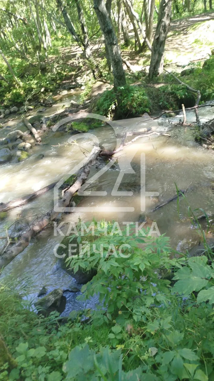 🆘 Читательница пожаловалась на сброс нечистот в реку Кирпичики