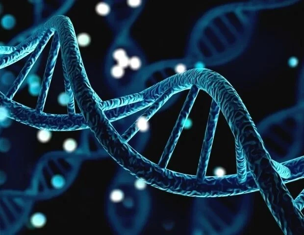🔬 Первые сутки после вирусной инфекции оказались критичны для иммунной защиты у мышей