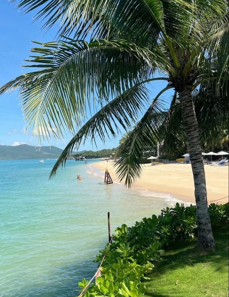 🌴 ЛЕТНИЙ ОТПУСК ВО ВЬЕТНАМЕ — КАМРАНЬ, ДАНАНГ, НЯЧАНГ 🌴