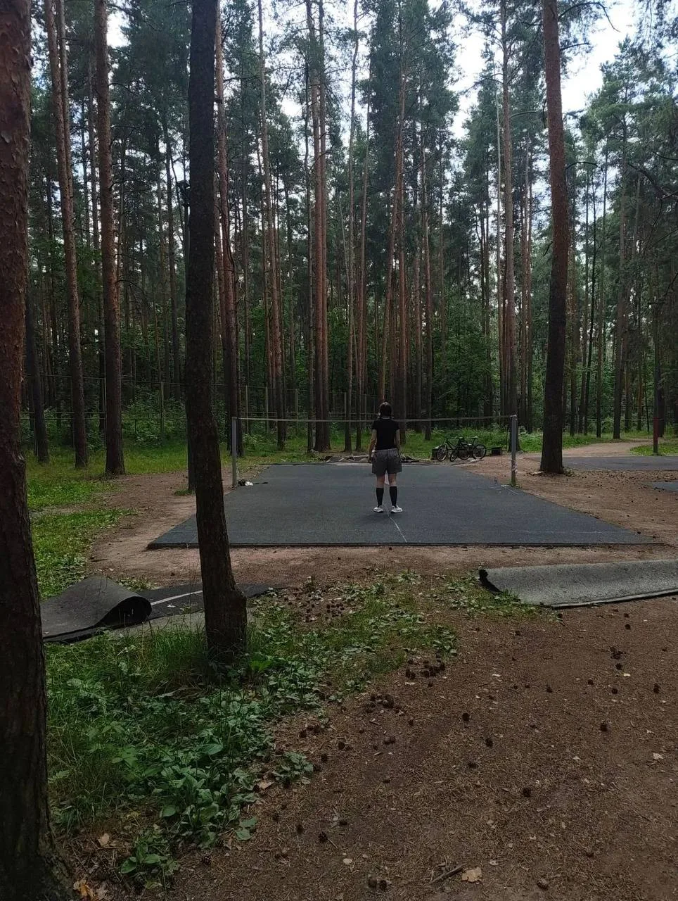 🏸 На спортивных площадках Сосновки почти завершилась замена покрытия!

На бадминтонных кортах и спо