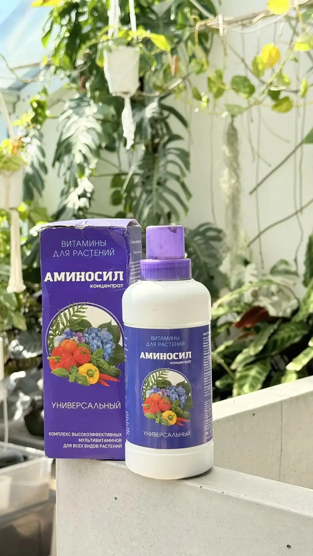 Летний уход за растениями всегда сложнее зимнего. Все растет, несется, выпускает листья...
