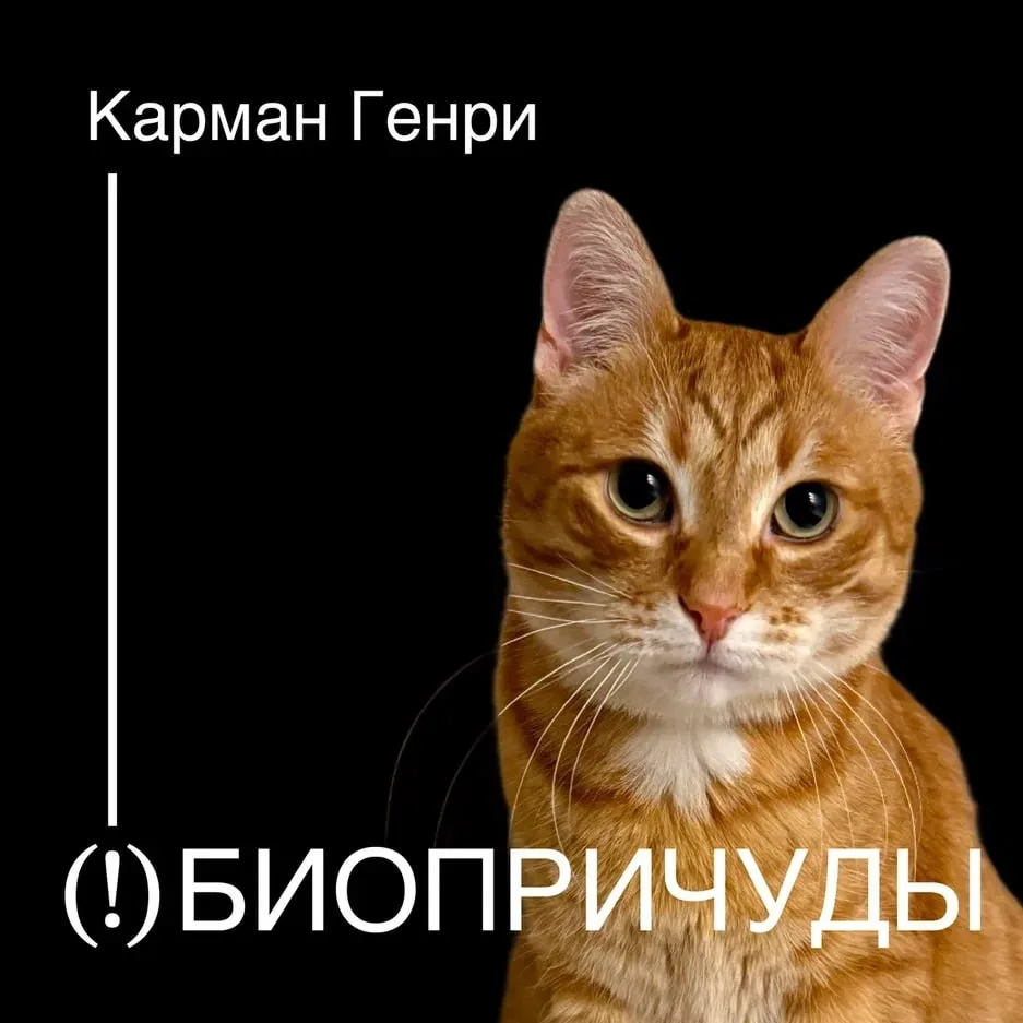 Карман Генри