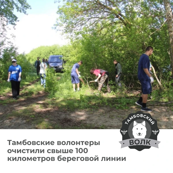 В Тамбовской области очистили более 100 километров берегов водоёмов🍃
