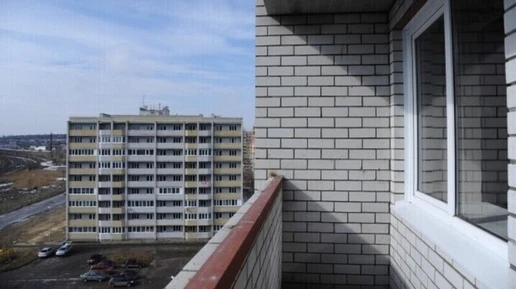 Волгоградцы узнали порядок действий, если в дом залетела летучая мышь