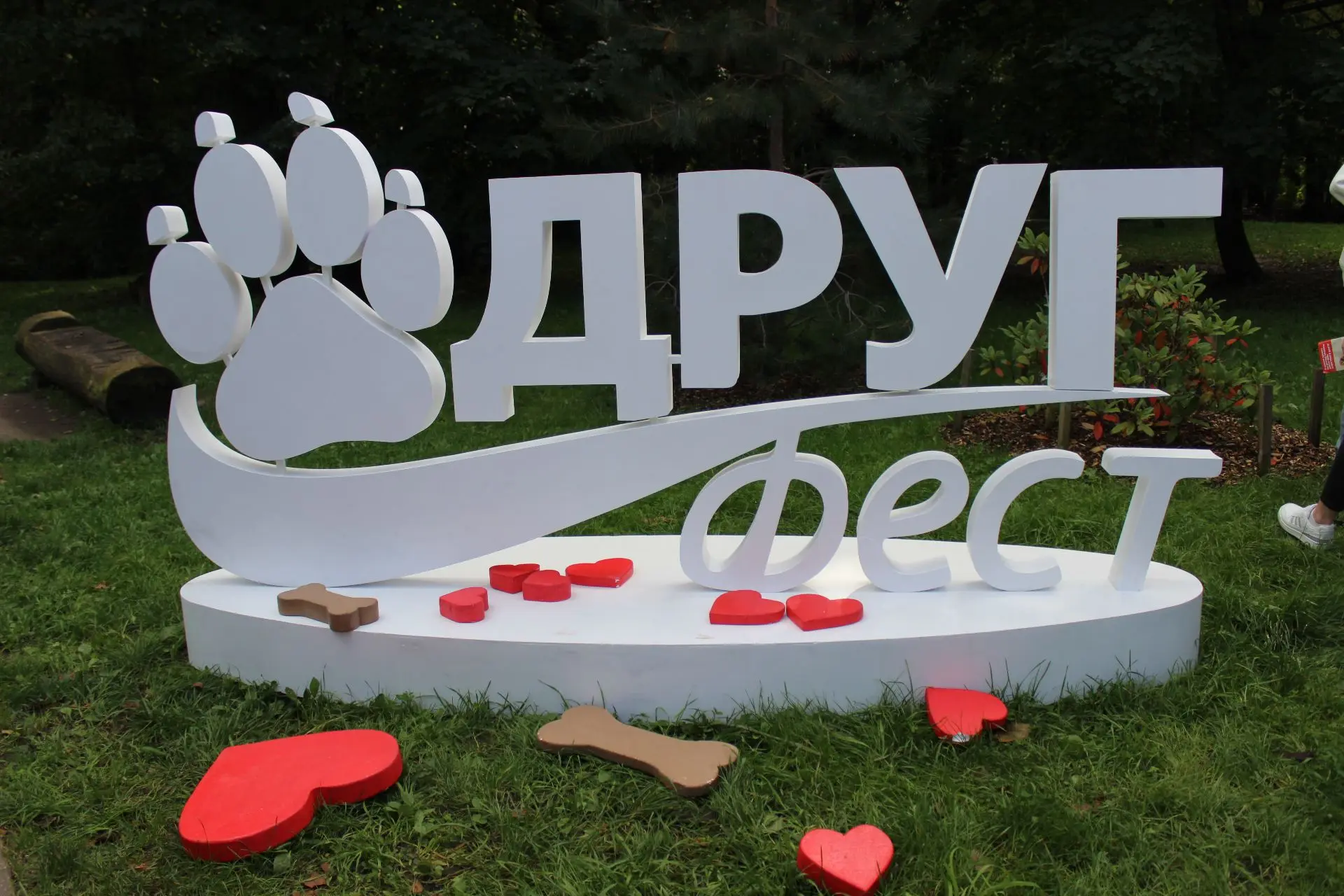 🌳 Парк Южный: пространство, где рождаются добрые дела и яркие эмоции