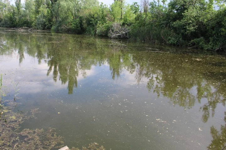 Самые грязные водоемы Ростовской области