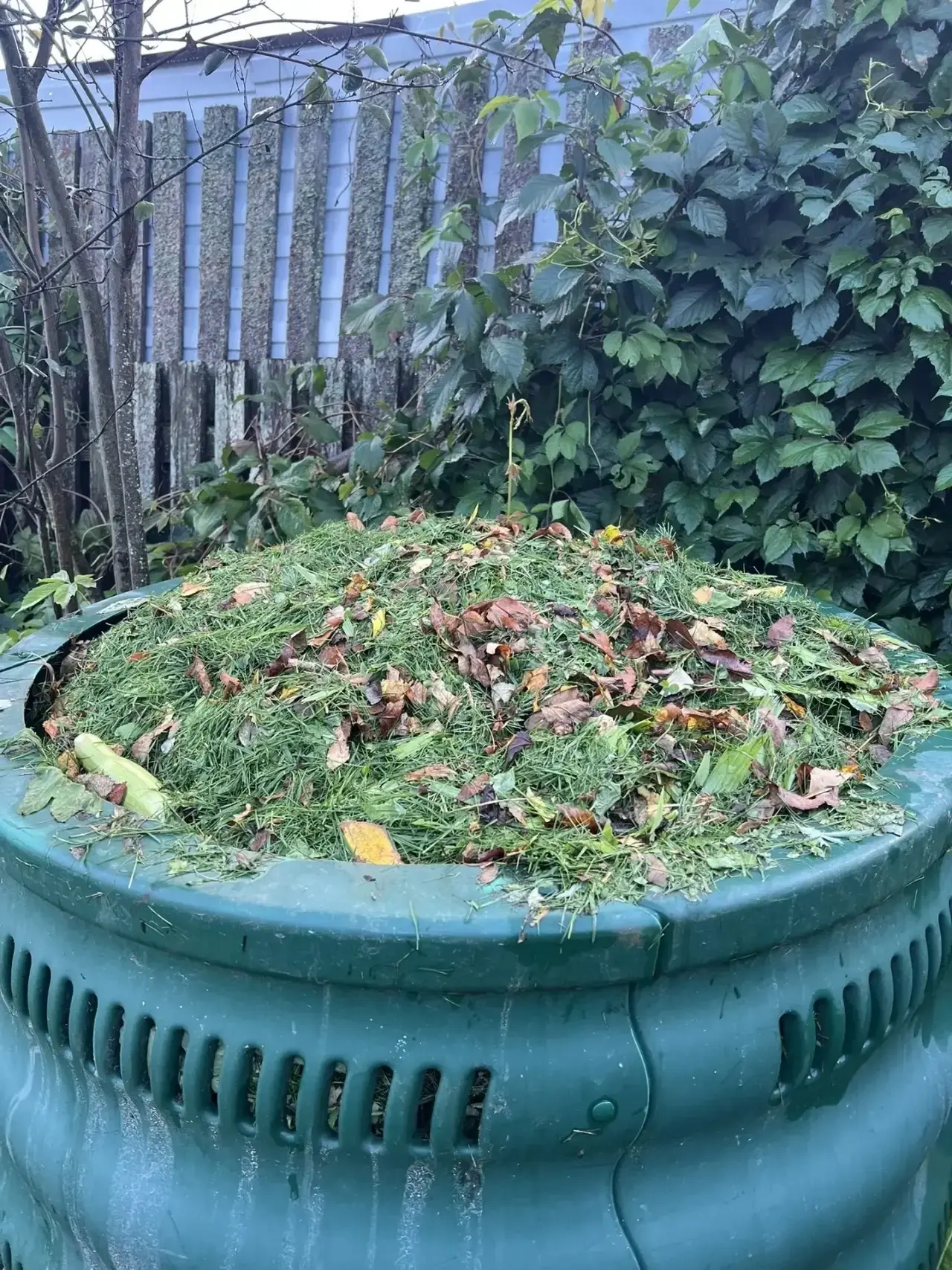 🌱🍂✨ «ЧЁРНОЕ ЗОЛОТО ДАЧНИКА»: Главные законы идеального компоста — что превратится в р...