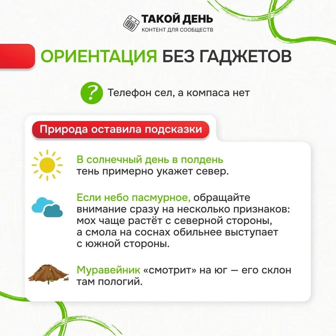 Памятка «Лес без происшествий»