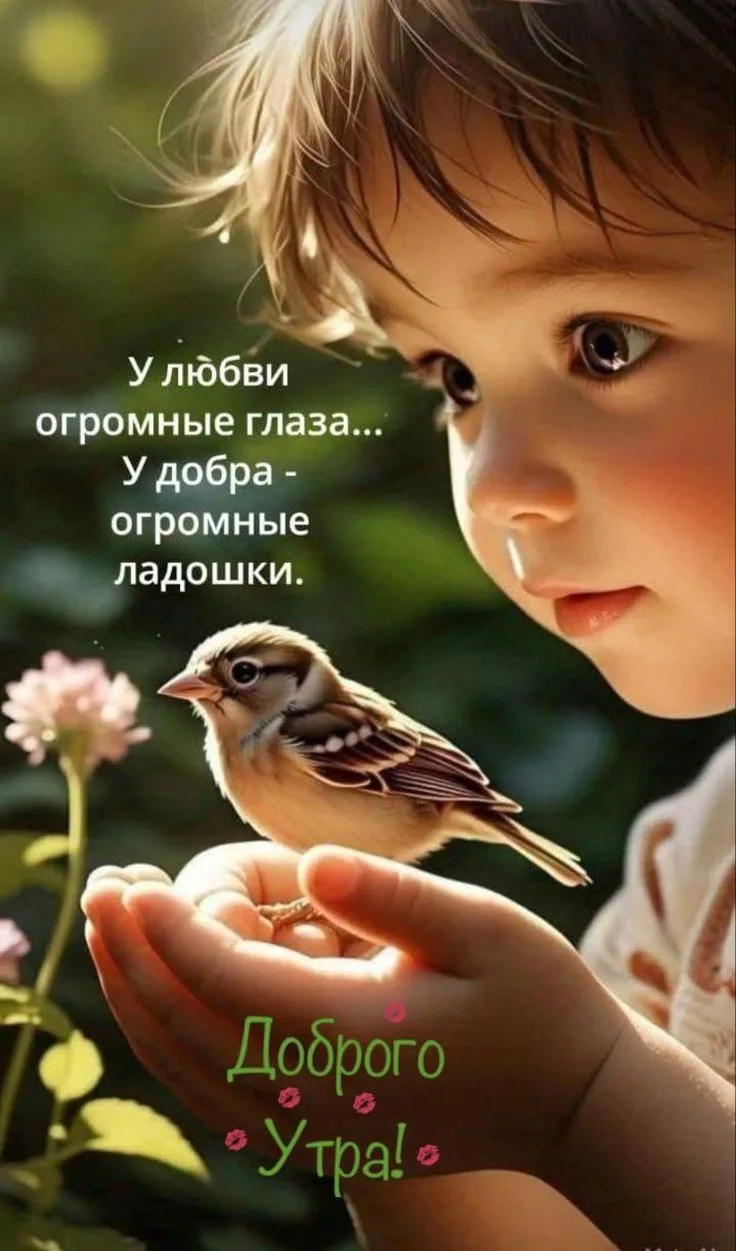 Доброе утро и солнышка вам!☀️  Я - Пенсионер✅