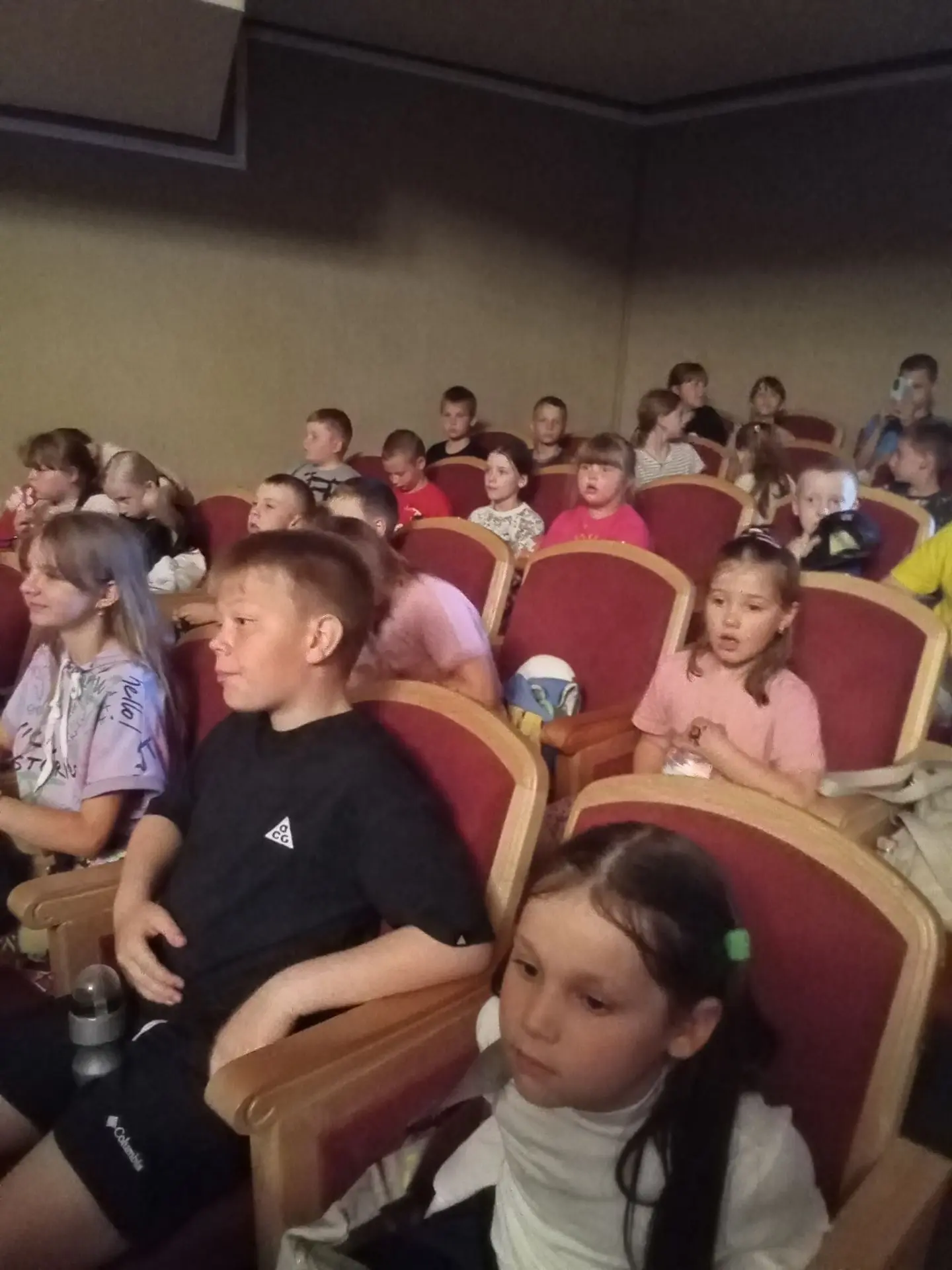 📸 День в театре!
Сегодня ребята из нашего пришкольного лагеря побывали в Кинешемском драматическом 