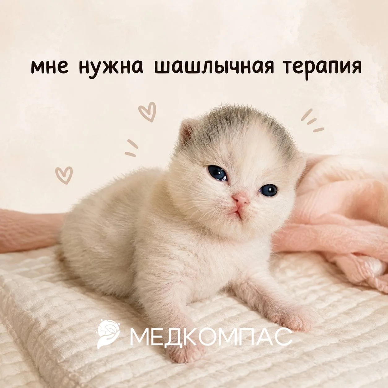 Канцерогены VS шашлыки 🍖
